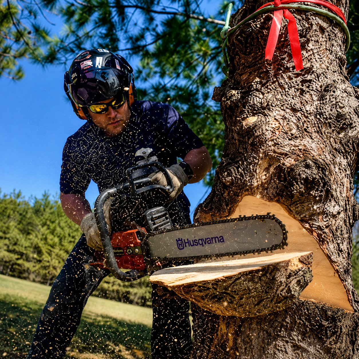 Tree Removal